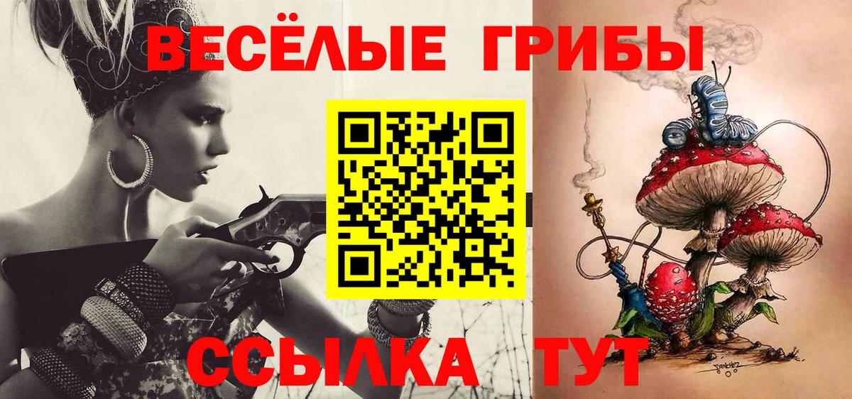 Баксан  Псилоцибиновые грибы Magic Shrooms  Вход с VPN 